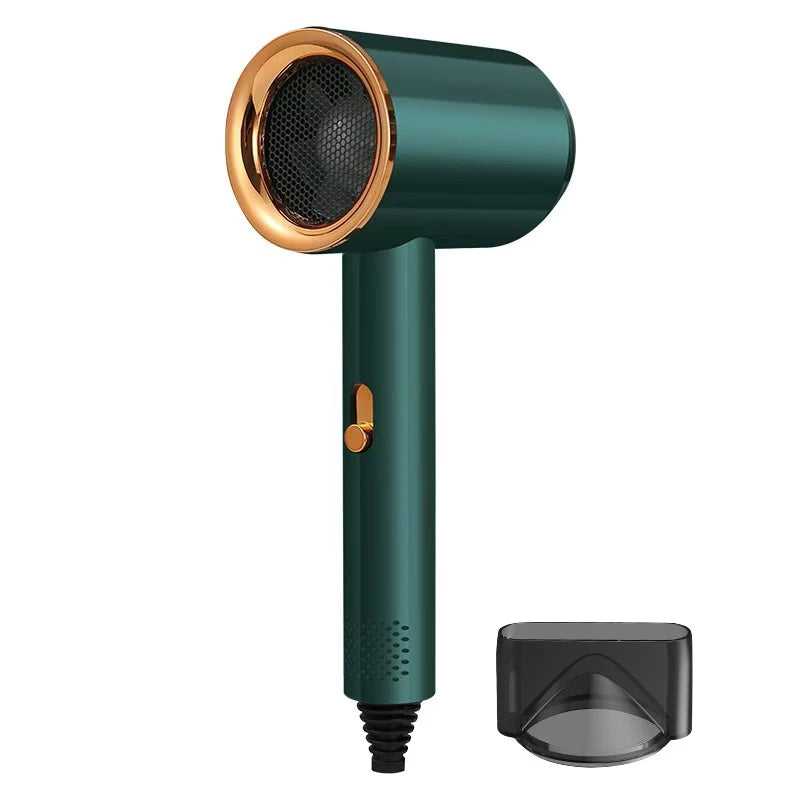 Professional Quick Dry Hair Dryer & Brush