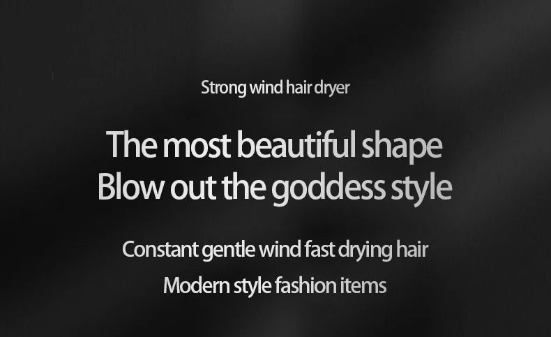 Professional Quick Dry Hair Dryer & Brush